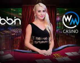 46倍狮子森林舞会2024最新版