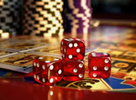 46倍狮子森林舞会2024最新版